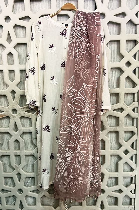 Ikat 2 Piece Embroidered suit
